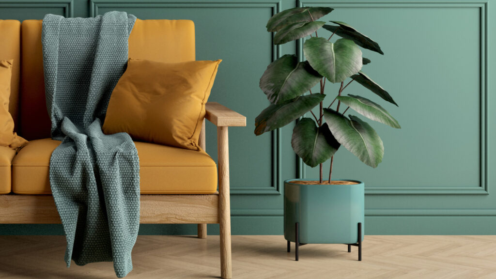 Hva er den raskeste måten å dyrke en gummiplante på? Følg disse tipsene
