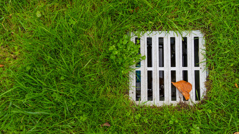 Stormavløp i en hage