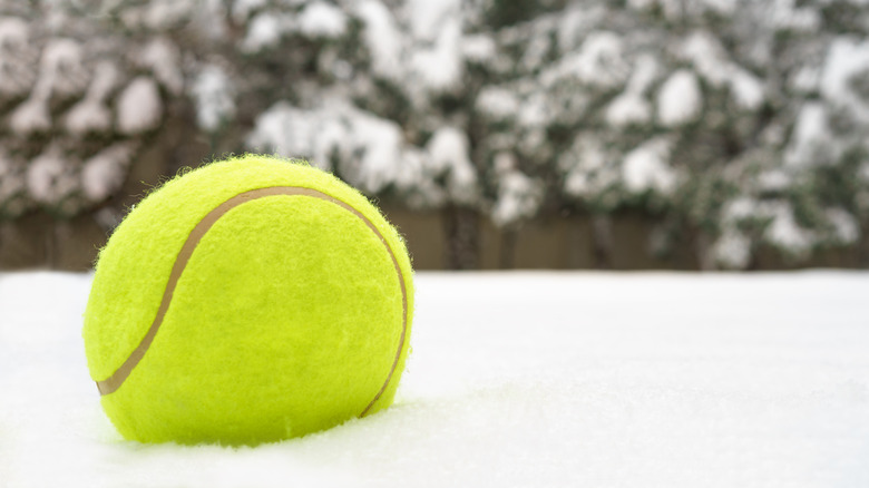 tennisball på en seng av snødekt plen