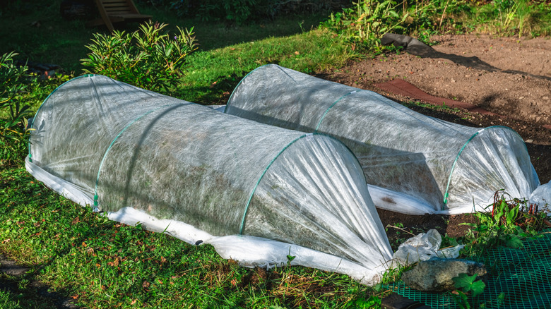 Landskapsstoff dekker hevede hagesenger for å beskytte dem mot frost.