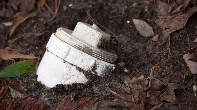 Hvitt kloakk renserør i en hage