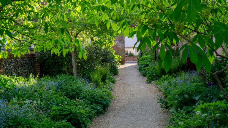 Not Hostas, Not Begonias: Det "nydelige" bakkedekselet som er flott for skyggefulle områder
