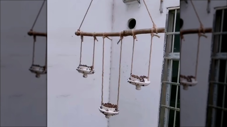 Skjermbilde av DIY tekopplokket fuglemater eller plantekasse