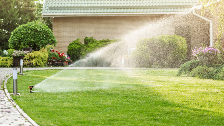 Et automatisk sprinkleranlegg som vanner en plen ved siden av en asfaltert sti.