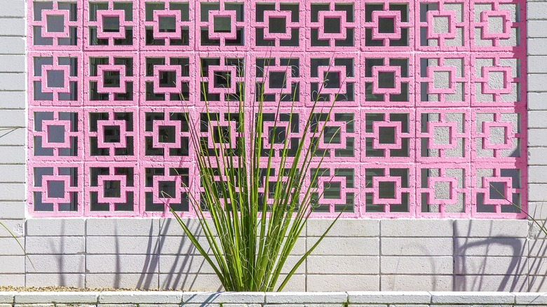 En rosa bris-blokkvegg bak yucca-planter