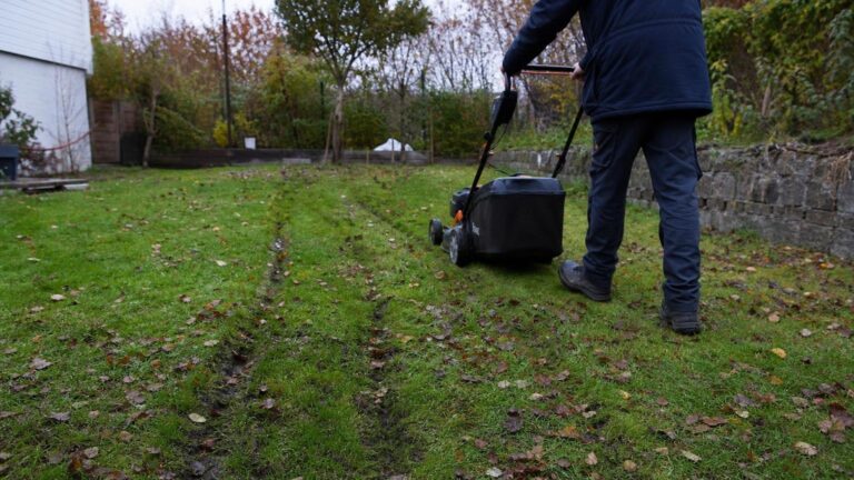 Mange kjører gressklipperen over våt plen om høsten og setter spor som blir stående helt til mai