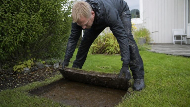 Under plenen ligger et lag som de fleste norske hager har og som stopper vannet før det når røttene