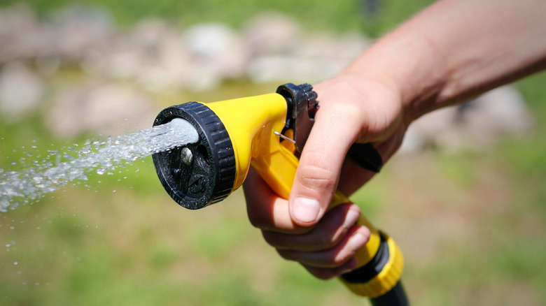 En person sprayer en konsentrert hageslange