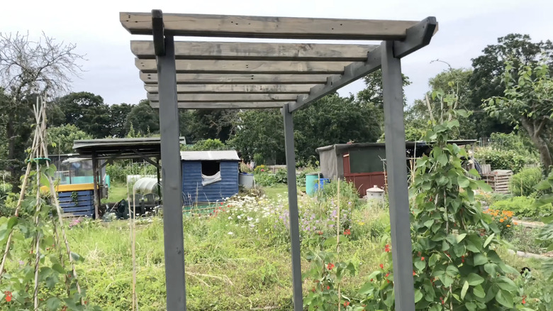 En pergola laget av palletre i en stor hage i bakgården.