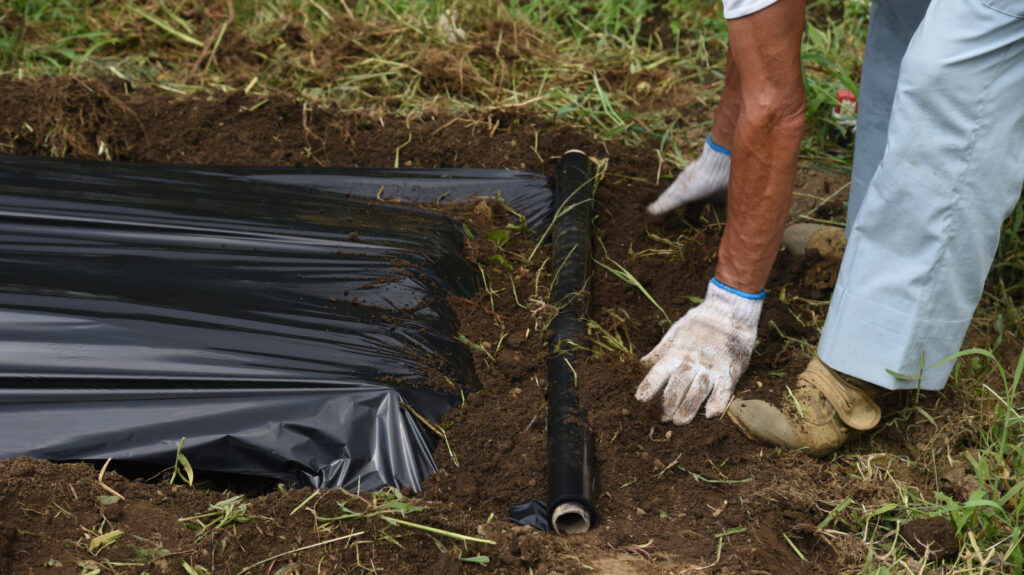 Light Mulch vs Black Mulch: Hva er forskjellen?
